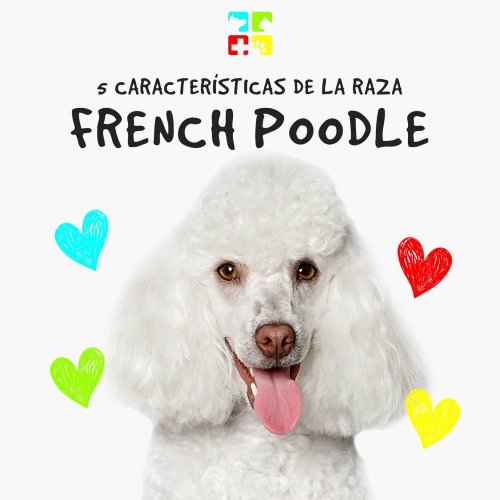 Carousel post from medicalpettj.