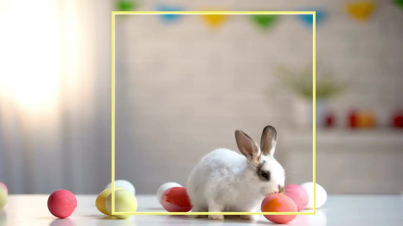 Video post from cardinalcamera1937.