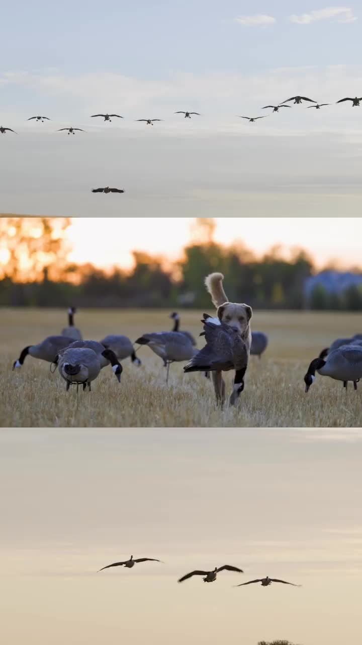 Video post from northernskiesoutfitters.