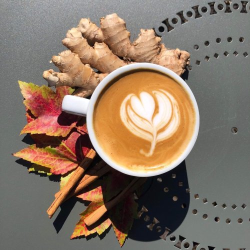 Photo post from equianocoffee.