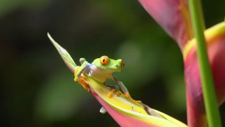 Video post from taucktravel.