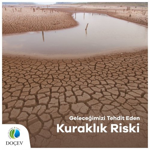 Photo post from dogavecevrevakfi.