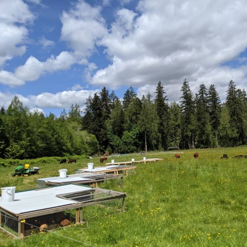 Photo post from hungryhollowfarm.