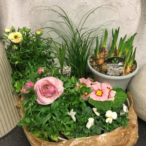 Photo post from blomsterborsen.