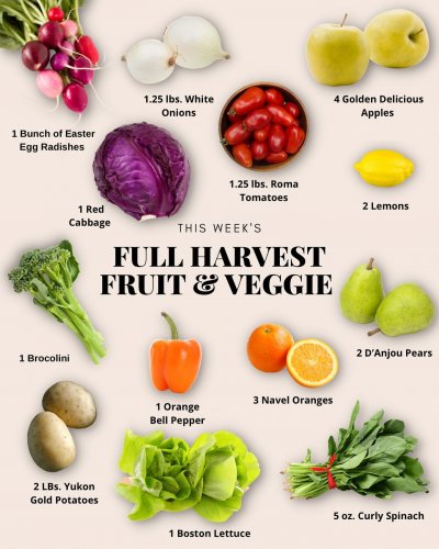 Photo post from farmbox_arizona.