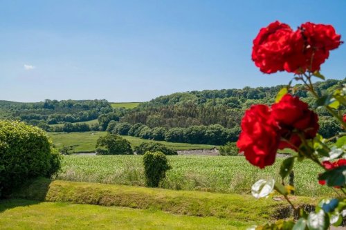 Carousel post from scott.parry.associates.