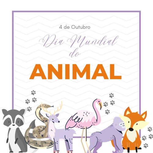 Photo post from clinica_veterinaria_dourosul.