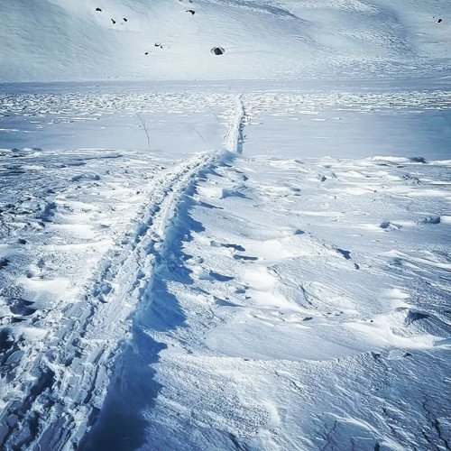 Photo post from over.tregrensen.