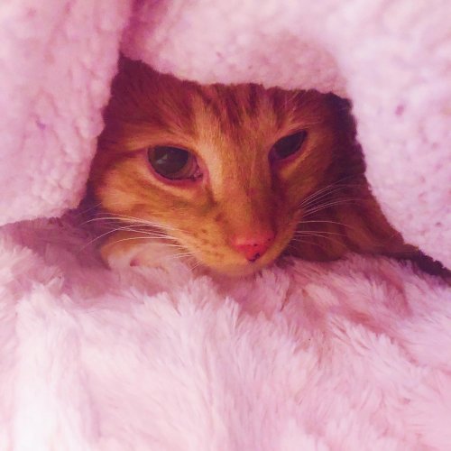 Photo post from margaritabloom.