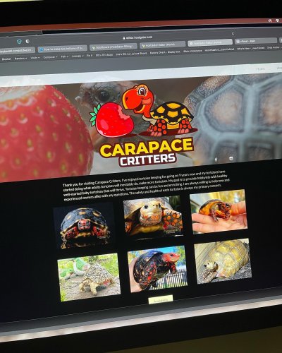 Photo post from carapacecritters.