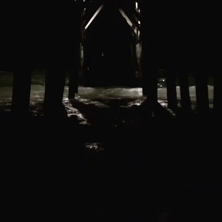 Video post from erichstem.
