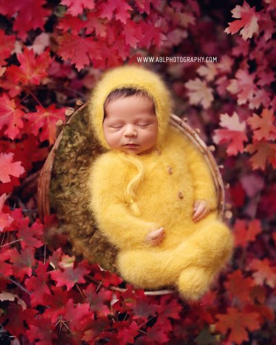 Photo post from abl_photography_sandiego.