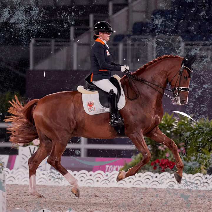 Video post from fei_global.