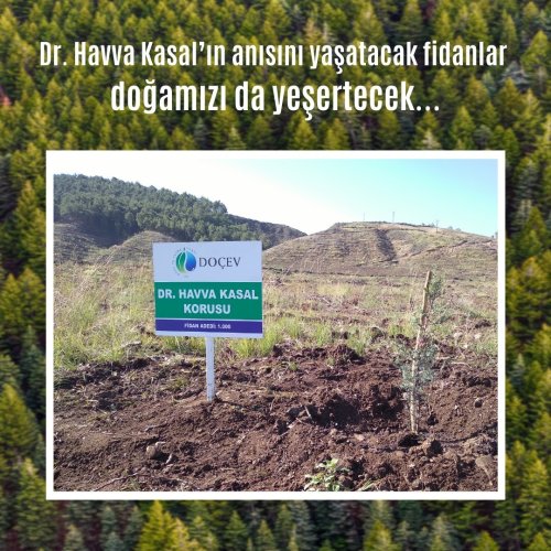 Photo post from dogavecevrevakfi.