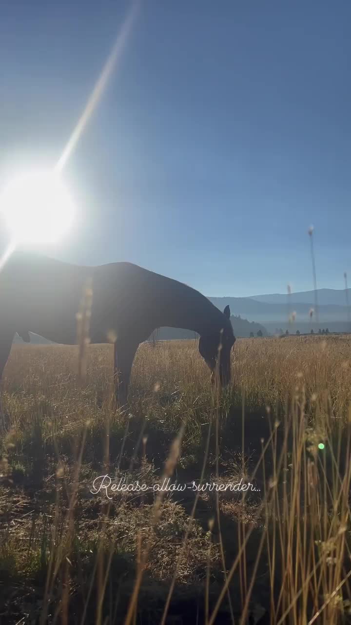 Video post from __amber_lydic__.