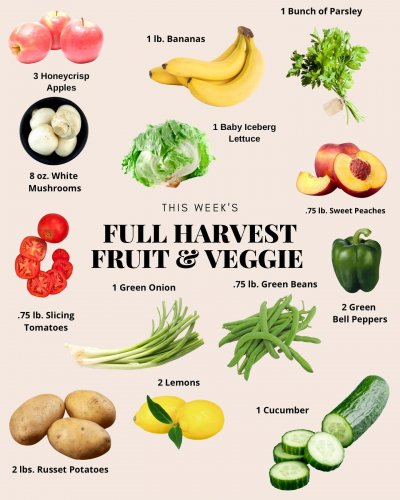 Photo post from farmbox_arizona.