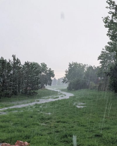 Photo post from water_salad.