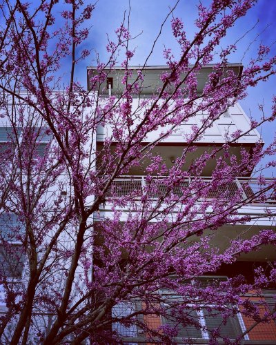 Photo post from highlineaustin.