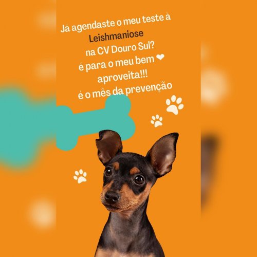 Photo post from clinica_veterinaria_dourosul.