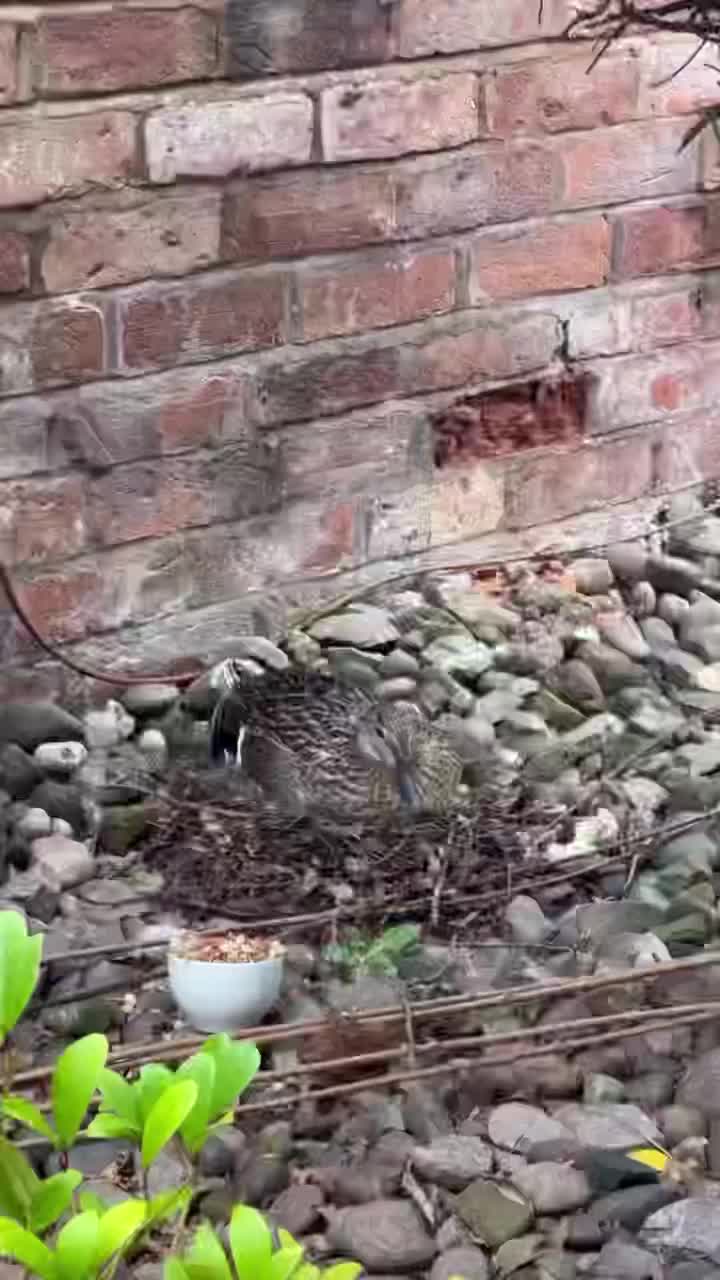 Video post from themoathouse.