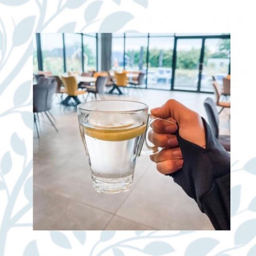 Photo post from glasshouseretreat.