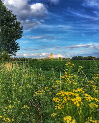 Photo post from visitoirschot.