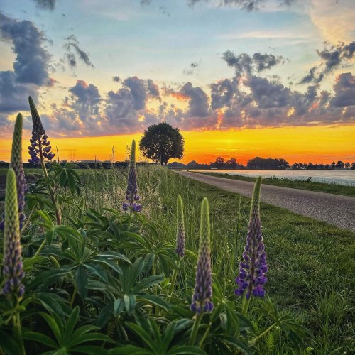 Photo post from visitoirschot.