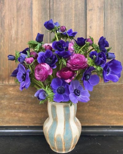 Carousel post from equianocoffee.