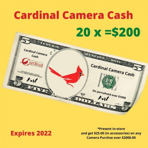 Photo post from cardinalcamera1937.