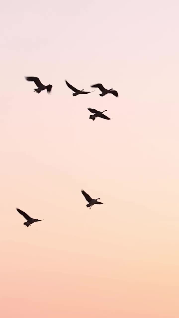 Video post from northernskiesoutfitters.