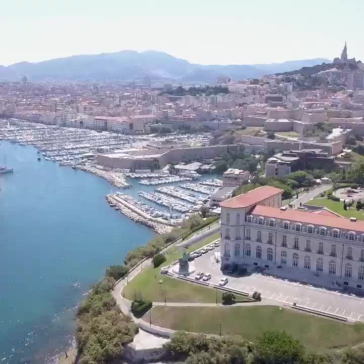 Video post from proximeo.