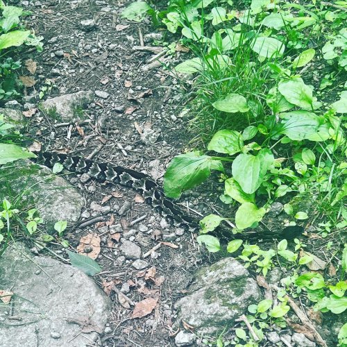 Photo post from trekdirtyto.me.