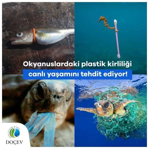 Photo post from dogavecevrevakfi.