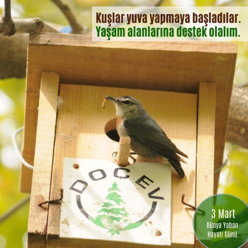 Photo post from dogavecevrevakfi.