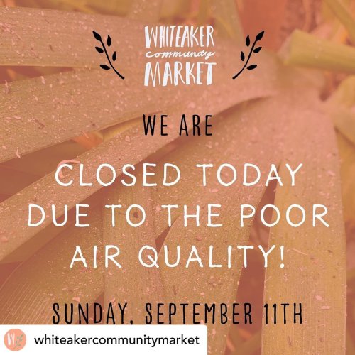 Photo post from equianocoffee.