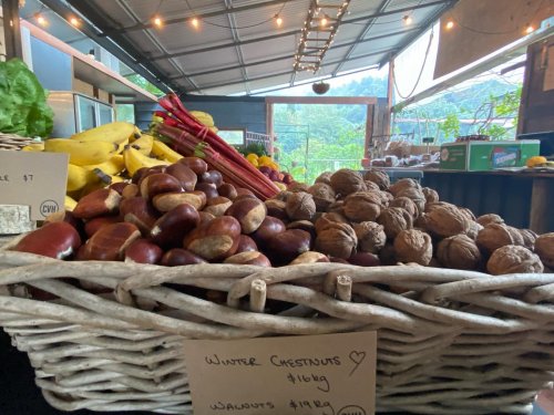 Photo post from currumbinvalleyharvest.