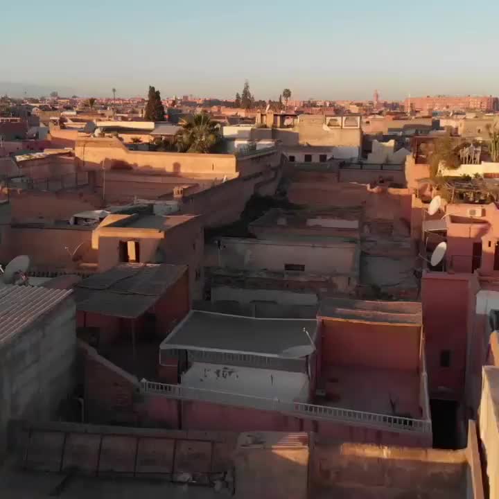 Video post from proximeo.
