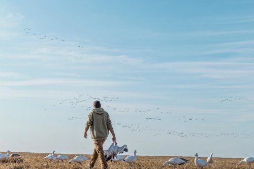 Photo post from northernskiesoutfitters.