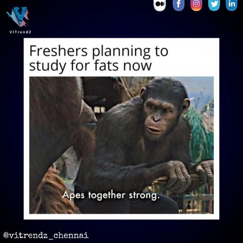 Photo post from vitrendz_chennai.