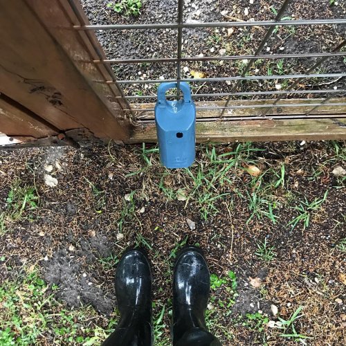 Photo post from kerisellsaustin.