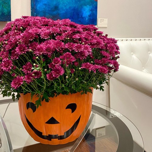Photo post from trilliumdental.