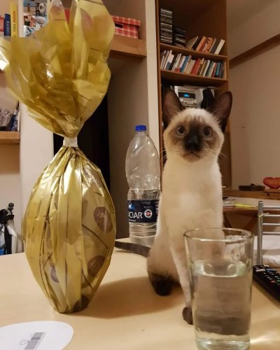 Photo post from damiandipace.