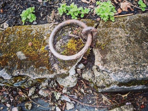 Photo post from pdxswingsnthings.