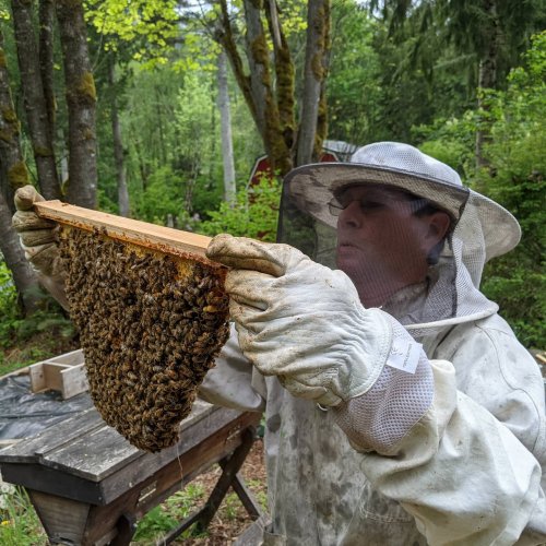 Carousel post from hungryhollowfarm.