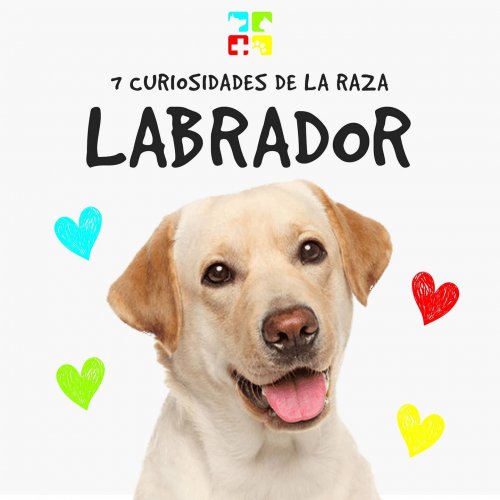 Carousel post from medicalpettj.