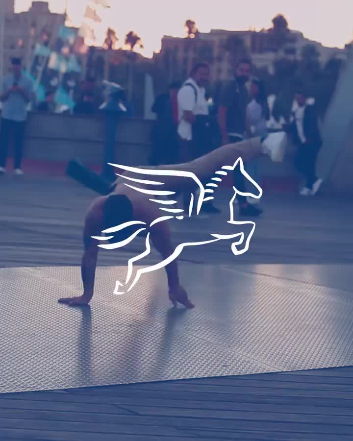 Video post from pegasus.pro.
