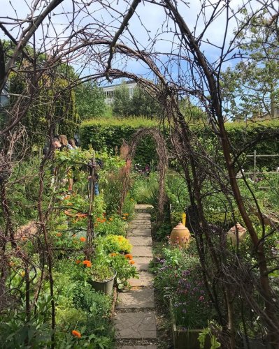 Photo post from gardenhousebrighton.