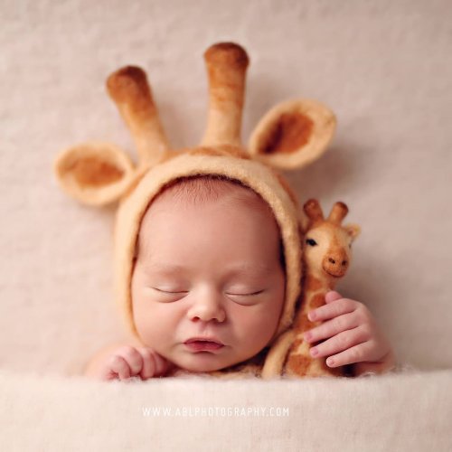 Photo post from abl_photography_sandiego.