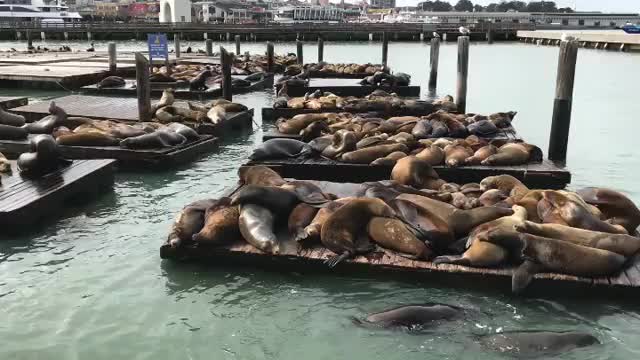 Video post from vastdesign.