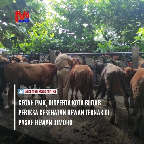 PostPhoto